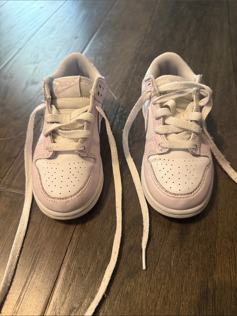 Nike Kids Low Dunks